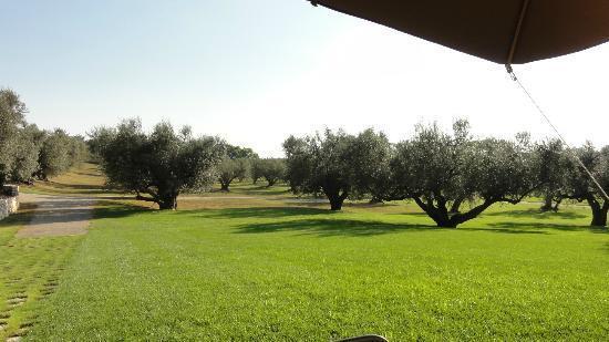 La Pecora Ladra * Montalto di Castro