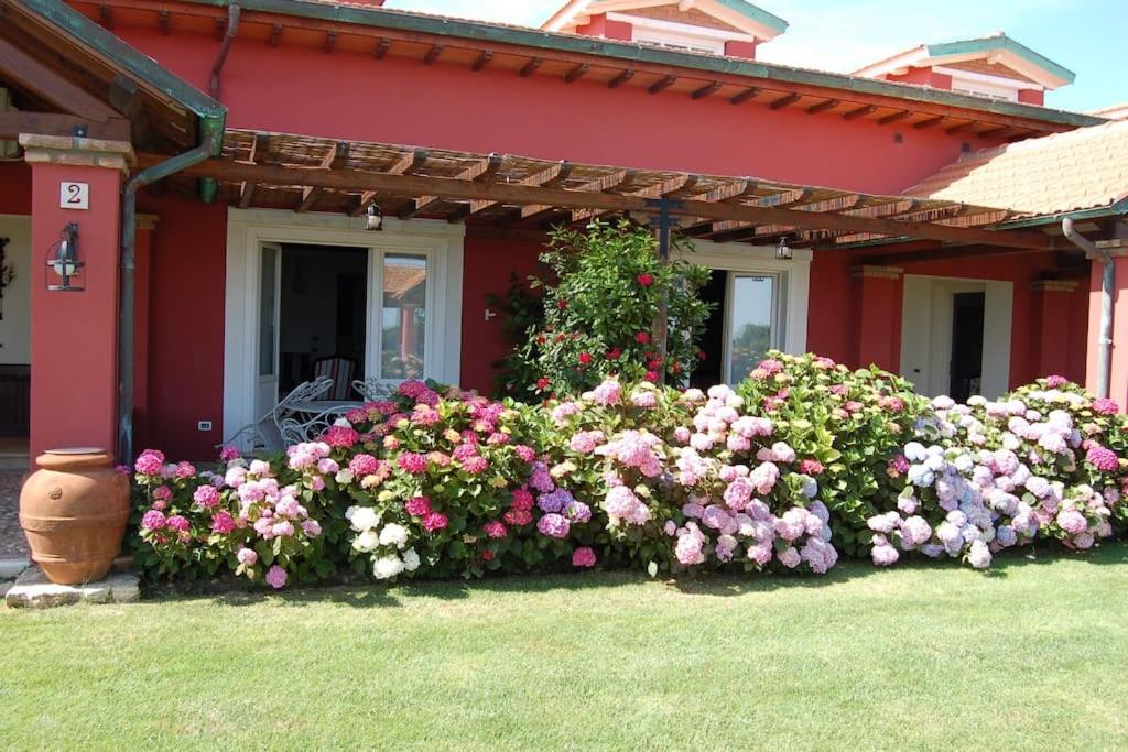 Apartment La Pecora Ladra Montalto di Castro