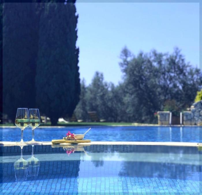 La Pecora Ladra Apartment Montalto di Castro